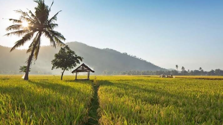 Makna Filosofis dalam Tradisi Lokal: Nilai Kehidupan, Simbol Kearifan Leluhur, dan Peran Tradisi sebagai Cermin Filsafat Budaya Nusantara yang Menjaga Keharmonisan Alam, Manusia, dan Spiritualitas di Indonesia